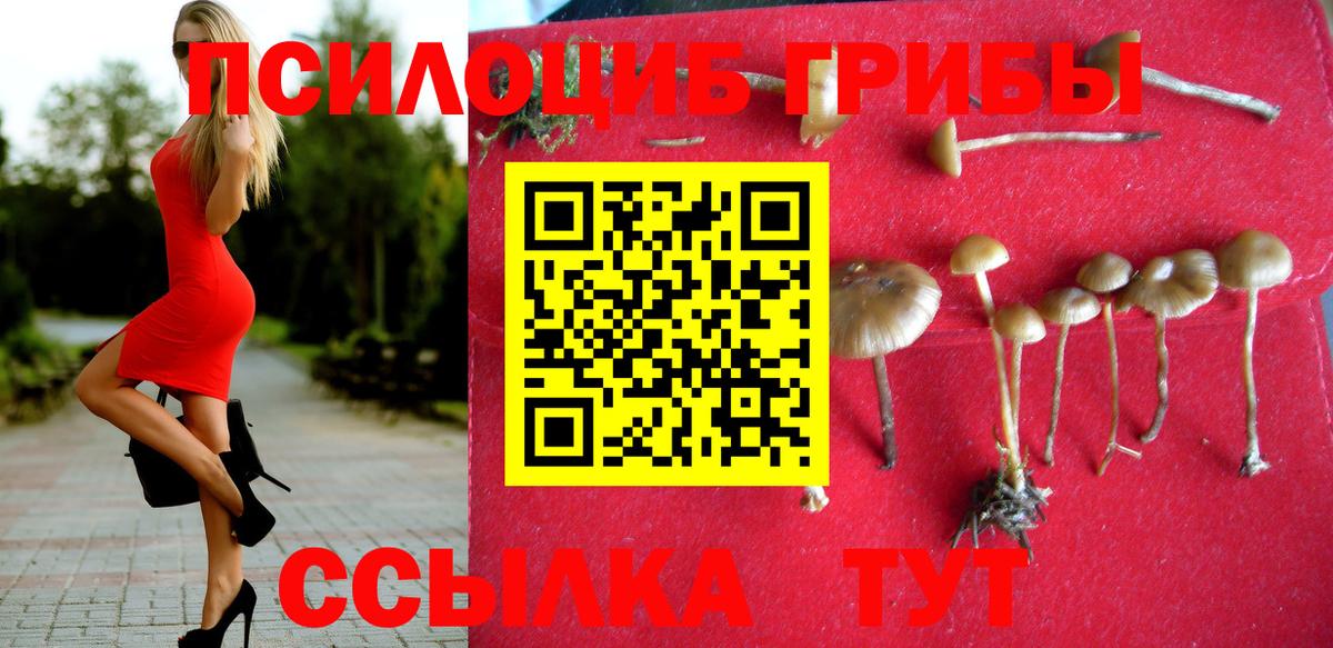 Псилоцибиновые грибы ЛСД Новосибирск