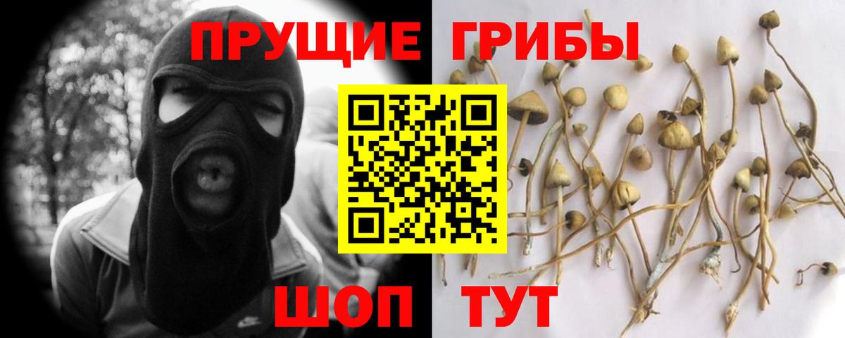 Новосибирск  Псилоцибиновые грибы мицелий  Вход с VPN 